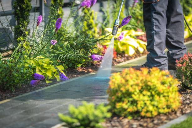 Best Dumpster Area Cleaning  in Ller, WA